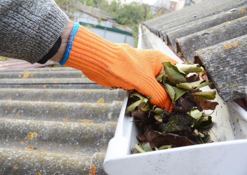 Clogged Gutter Clearing in Longmont, CO