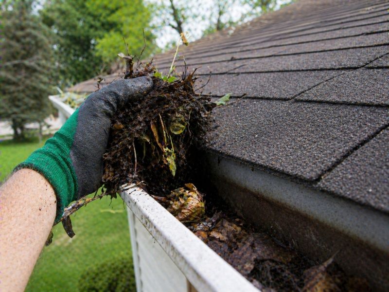 Gutter Pine Needle Removal in Pittsburgh, PA