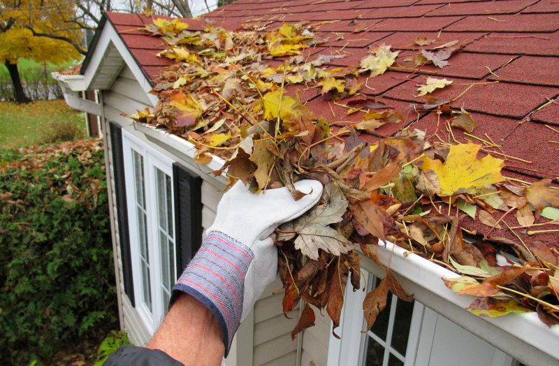 Gutter Pine Needle Removal in Arvada, CO