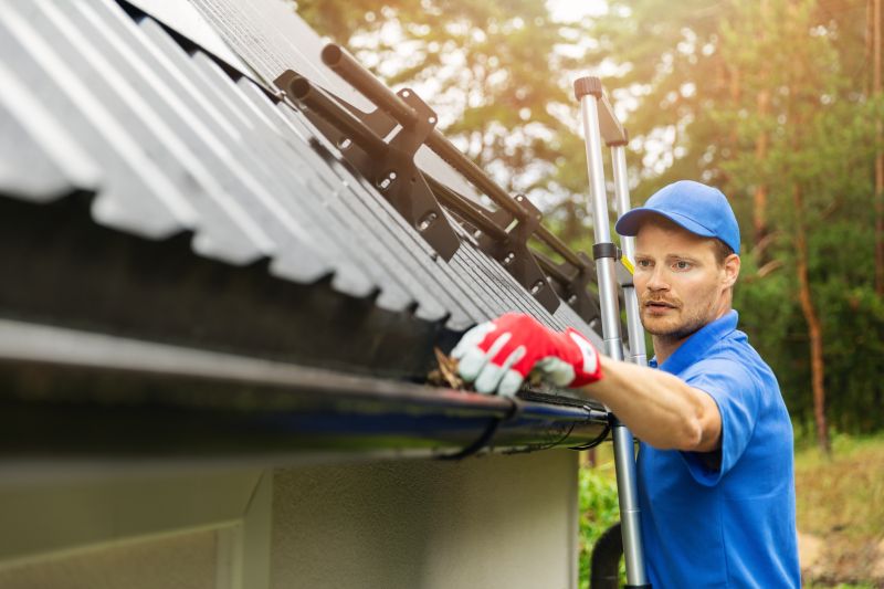 Roof Gutter Cleaning in Richmond, VA